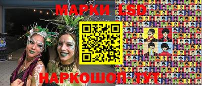 тгк Новозыбков