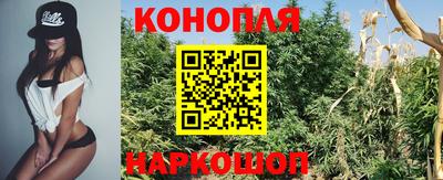тгк Новозыбков