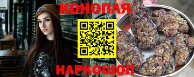 тгк Новозыбков