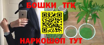 тгк Новозыбков